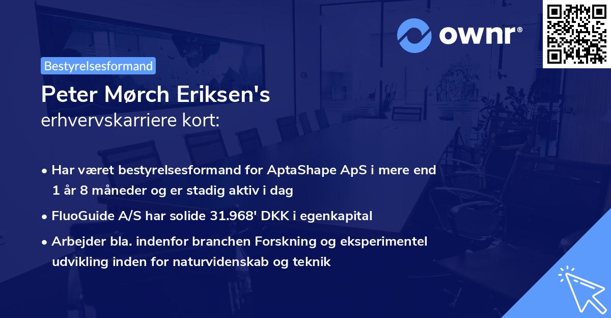 Peter Mørch Eriksen's erhvervskarriere kort