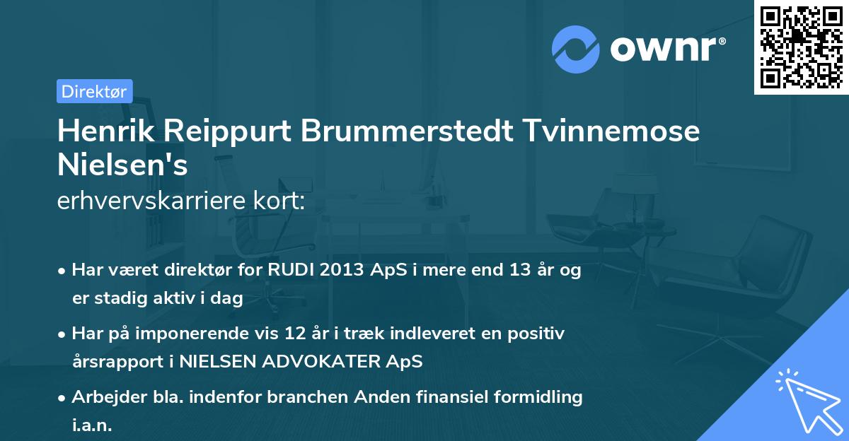 Henrik Reippurt Brummerstedt Tvinnemose Nielsen's erhvervskarriere kort