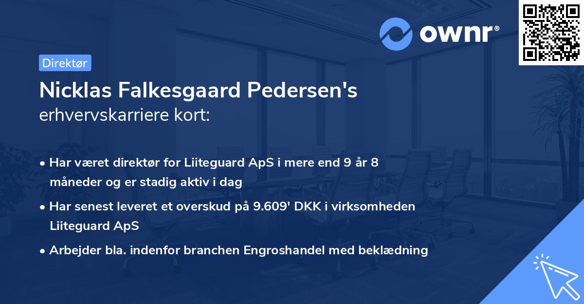 Nicklas Falkesgaard Pedersen's erhvervskarriere kort