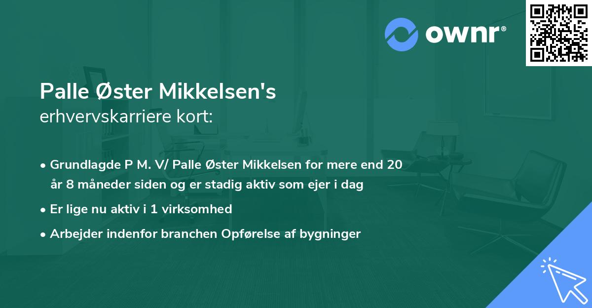 Palle Øster Mikkelsen's erhvervskarriere kort