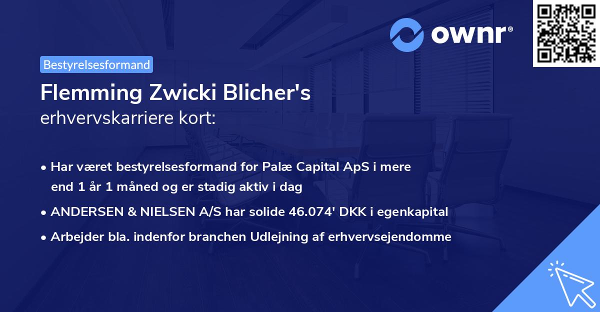 Flemming Zwicki Blicher's erhvervskarriere kort