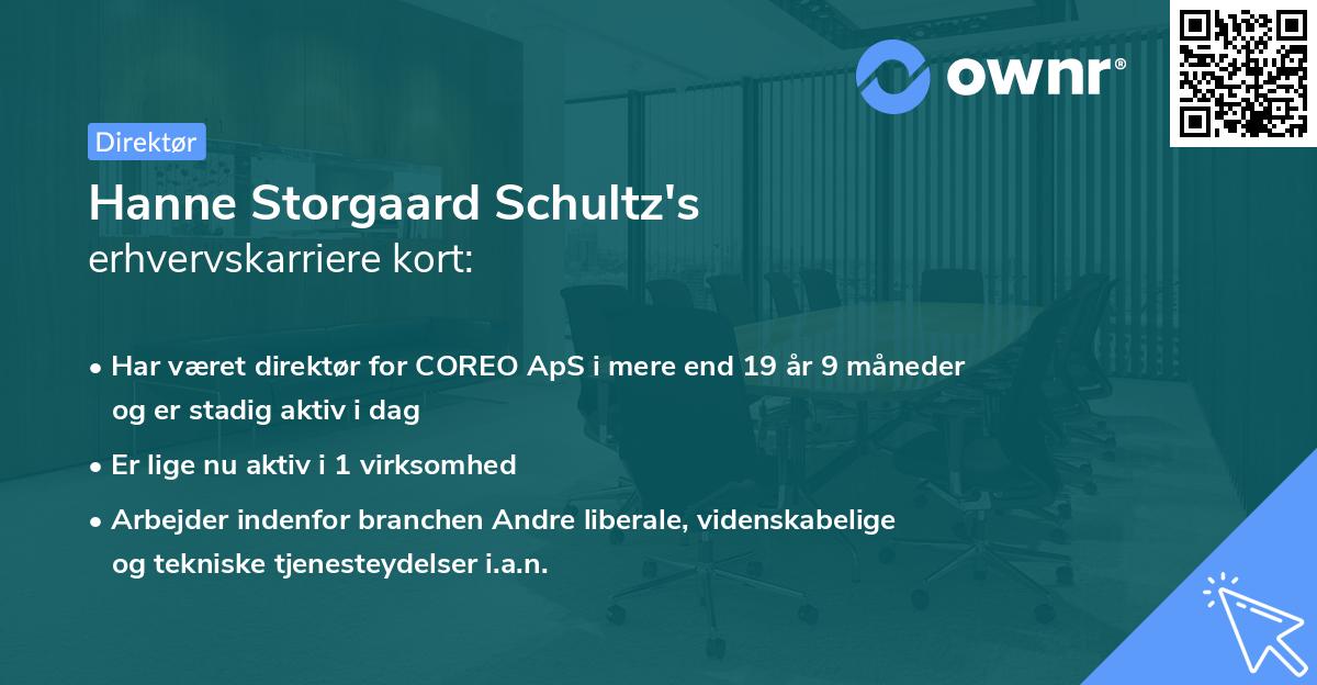 Hanne Storgaard Schultz's erhvervskarriere kort