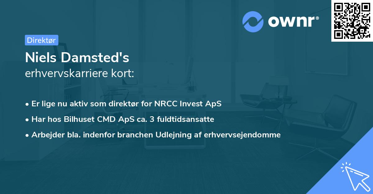 Niels Damsted's erhvervskarriere kort