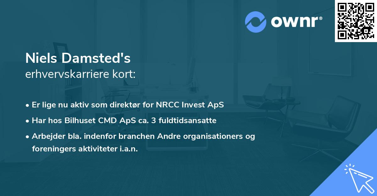 Niels Damsted's erhvervskarriere kort
