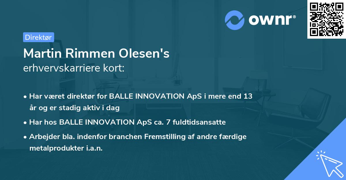 Martin Rimmen Olesen's erhvervskarriere kort