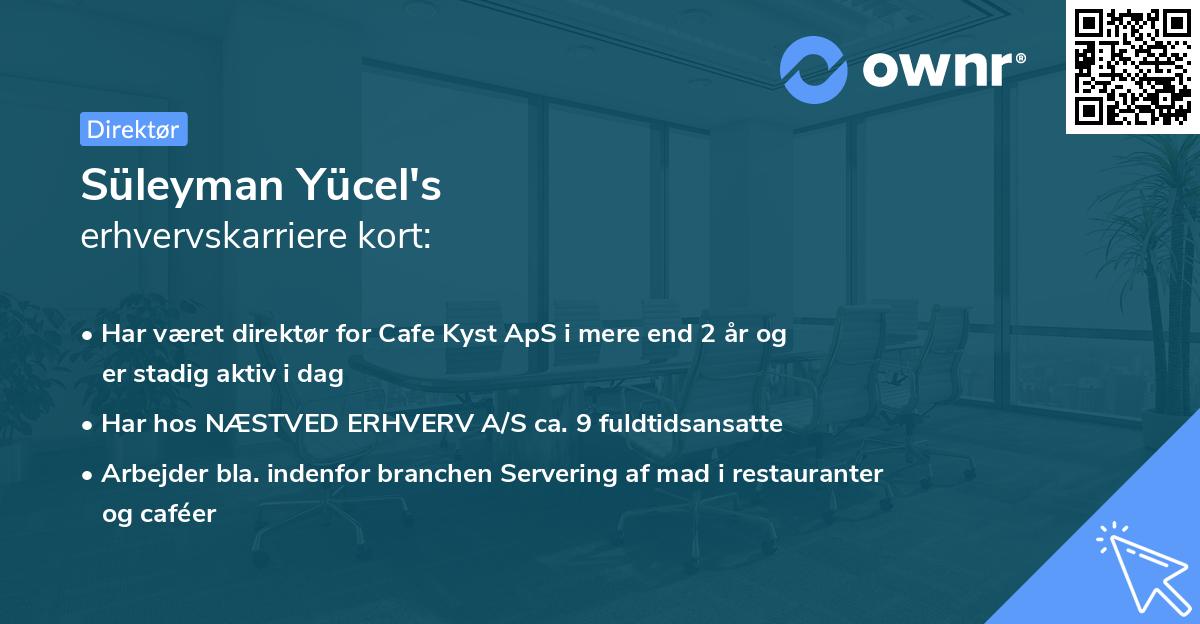 Süleyman Yücel's erhvervskarriere kort