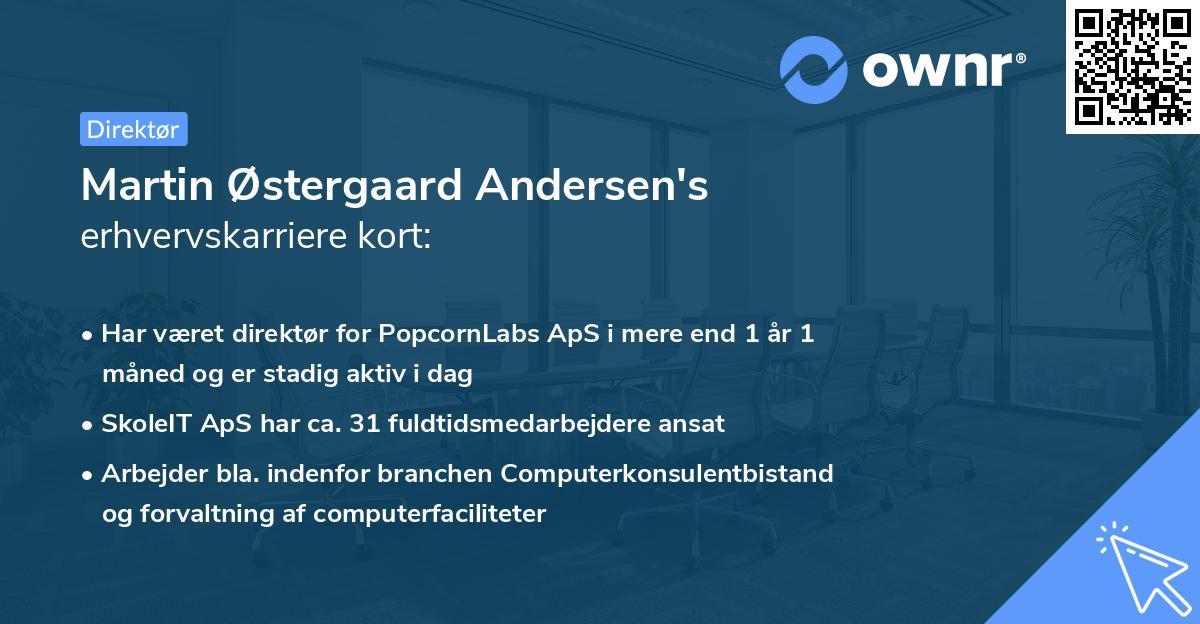 Martin Østergaard Andersen's erhvervskarriere kort
