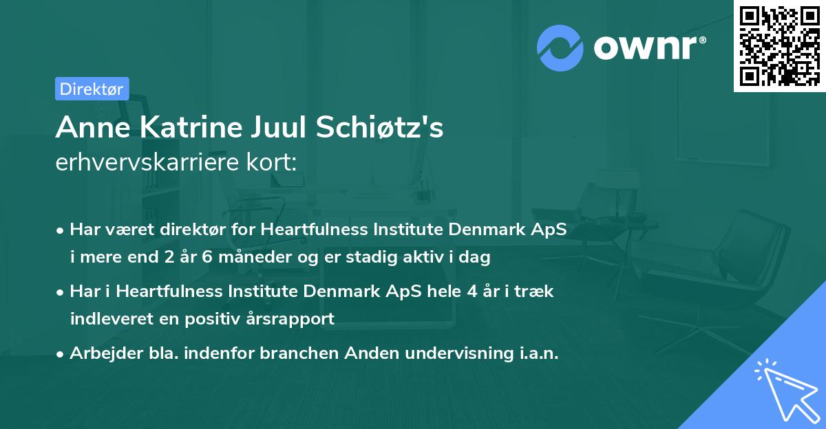 Anne Katrine Juul Schiøtz's erhvervskarriere kort