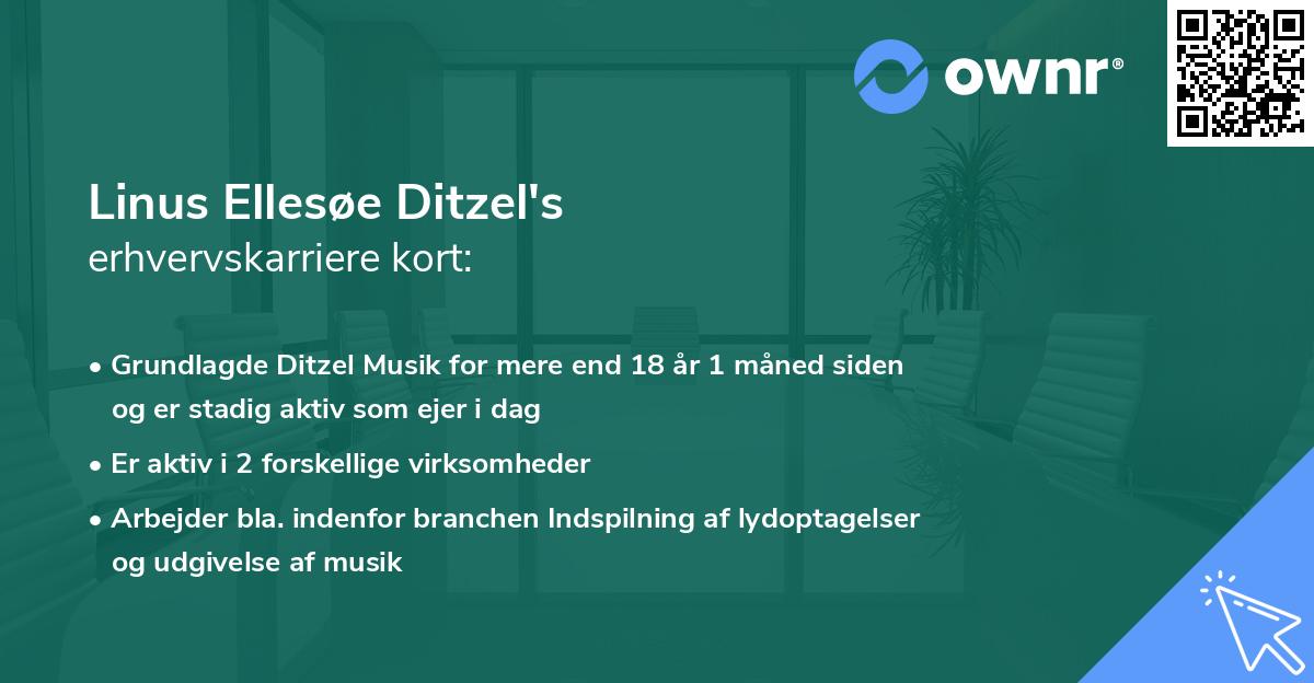 Linus Ellesøe Ditzel's erhvervskarriere kort