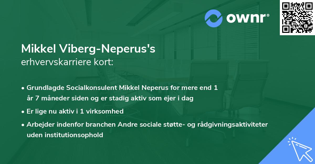 Mikkel Viberg-Neperus's erhvervskarriere kort