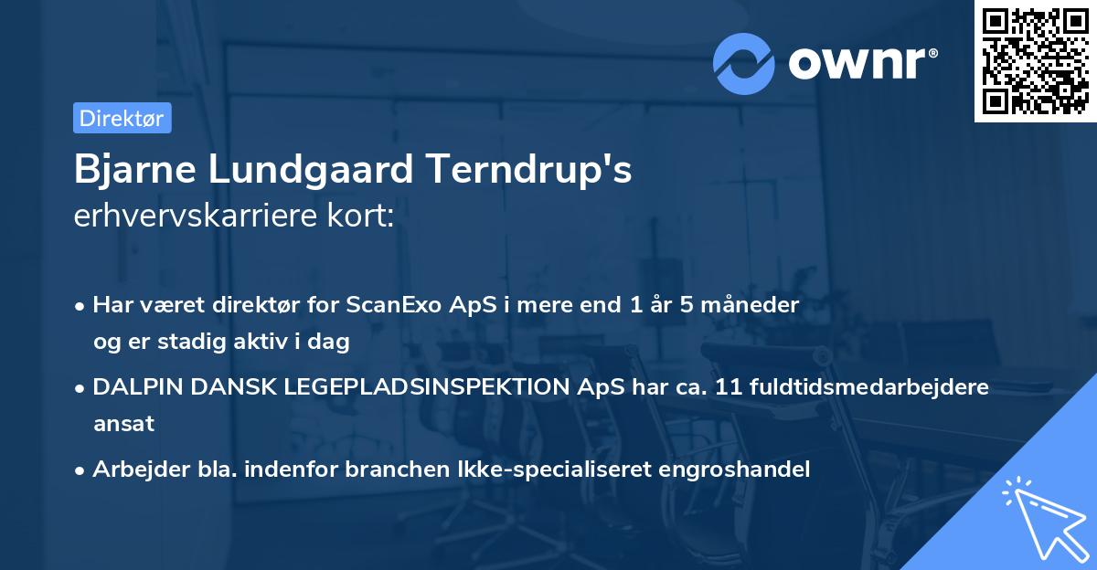 Bjarne Lundgaard Terndrup's erhvervskarriere kort