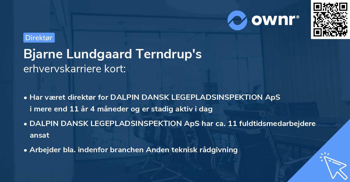 Bjarne Lundgaard Terndrup's erhvervskarriere kort