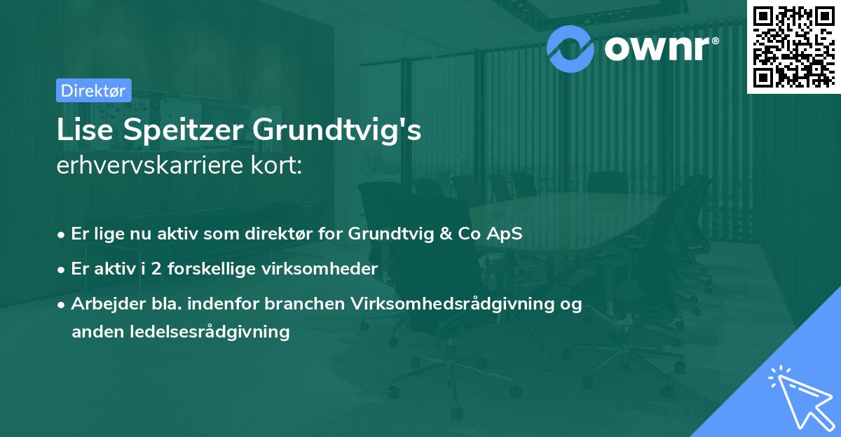 Lise Speitzer Grundtvig's erhvervskarriere kort