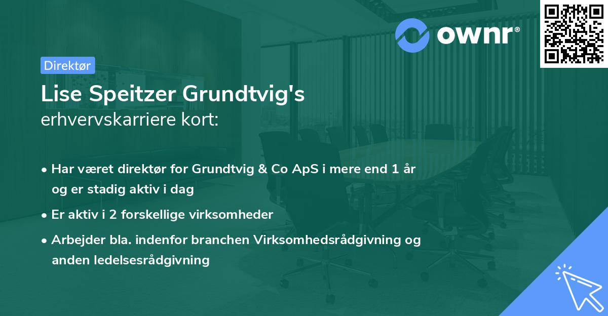 Lise Speitzer Grundtvig's erhvervskarriere kort