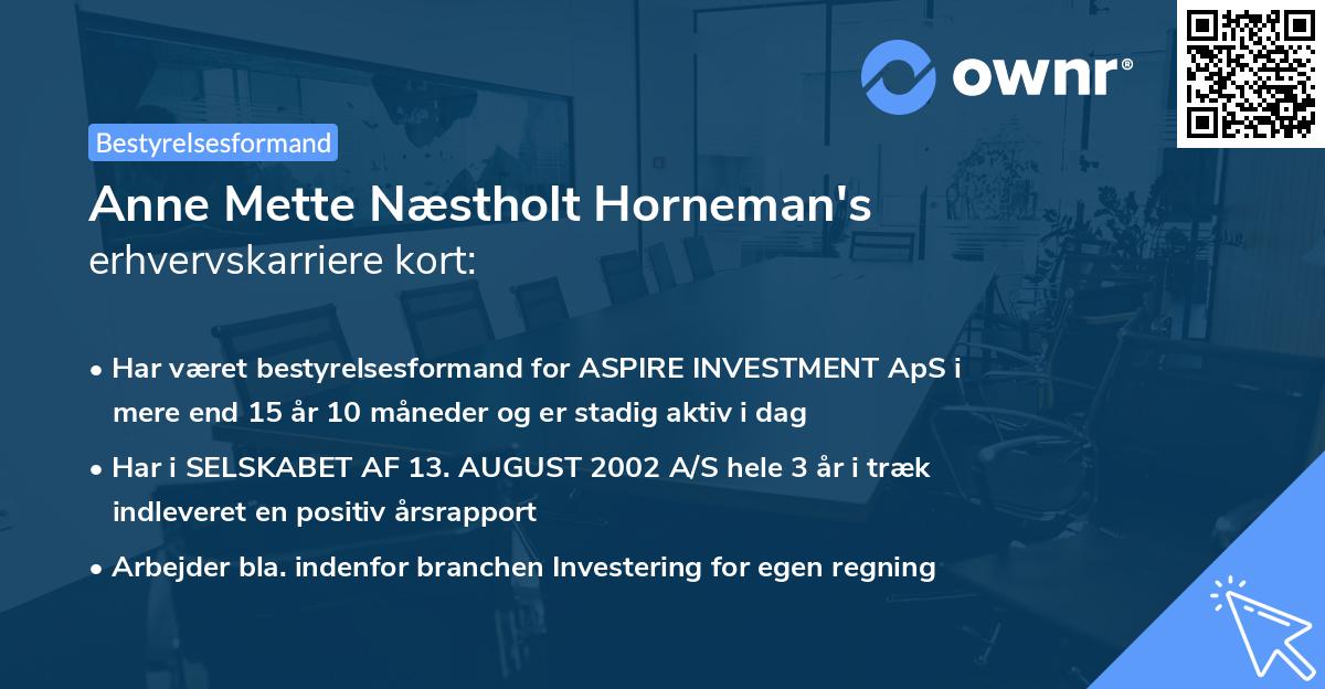 Anne Mette Næstholt Horneman's erhvervskarriere kort