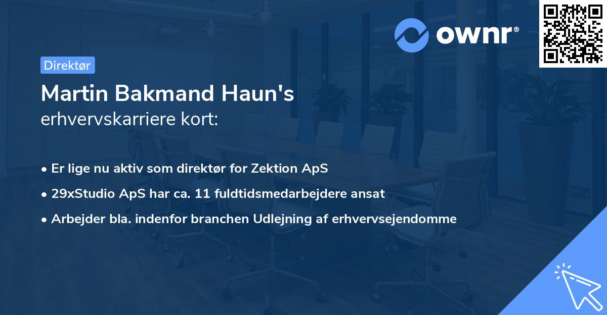 Martin Bakmand Haun's erhvervskarriere kort
