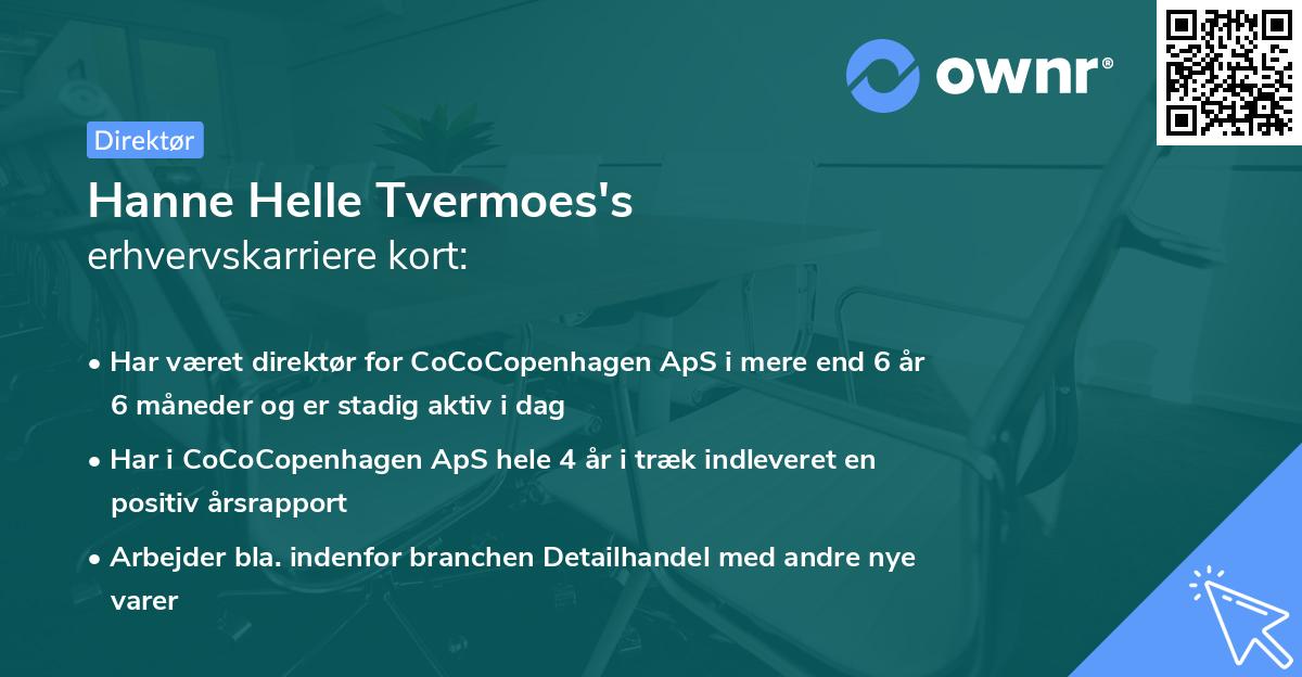 Hanne Helle Tvermoes's erhvervskarriere kort