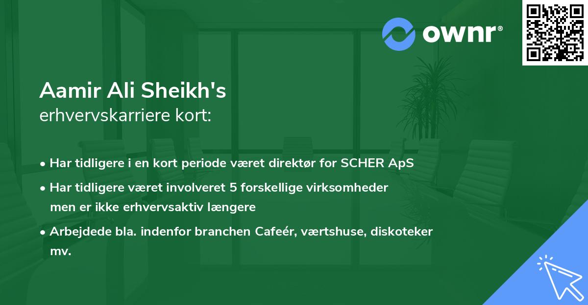 Aamir Ali Sheikh's erhvervskarriere kort