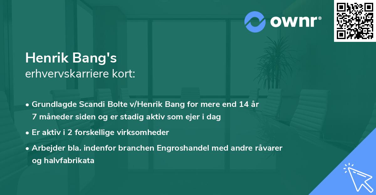 Henrik Bang's erhvervskarriere kort