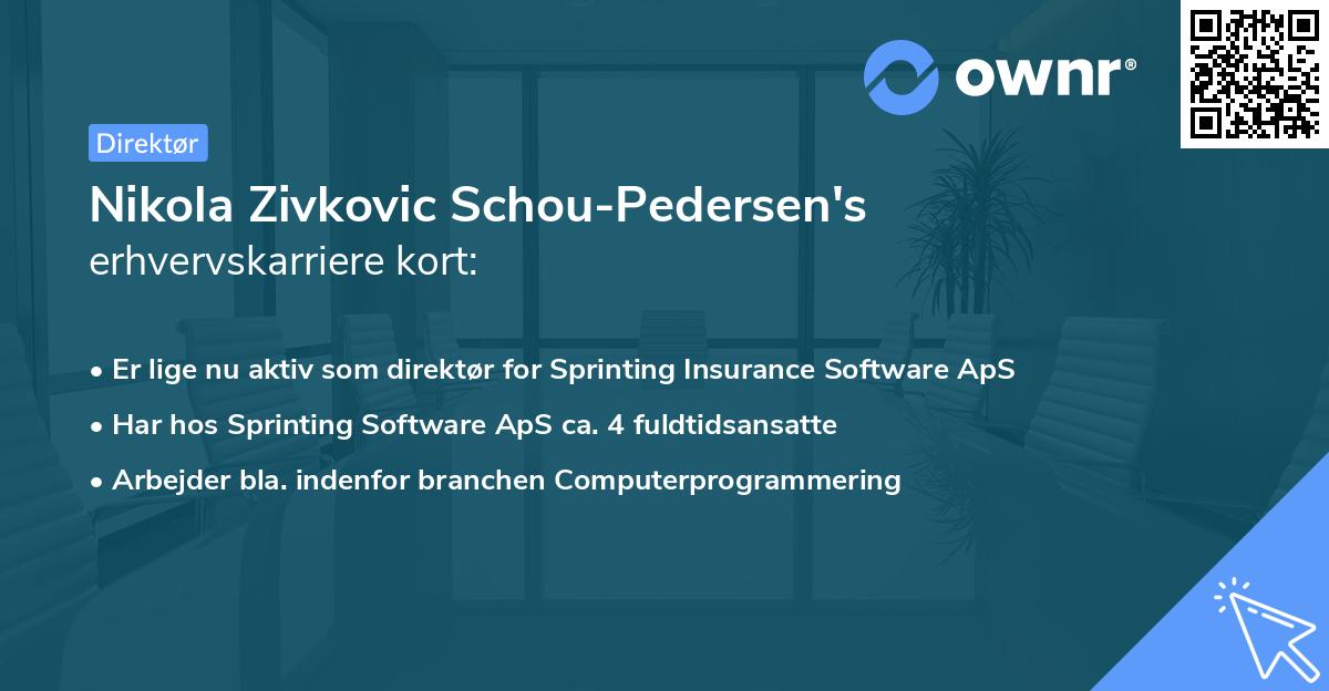 Nikola Zivkovic Schou-Pedersen's erhvervskarriere kort