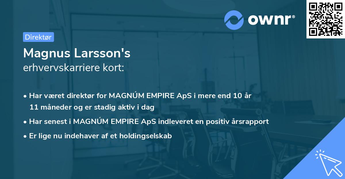 Magnus Larsson's erhvervskarriere kort