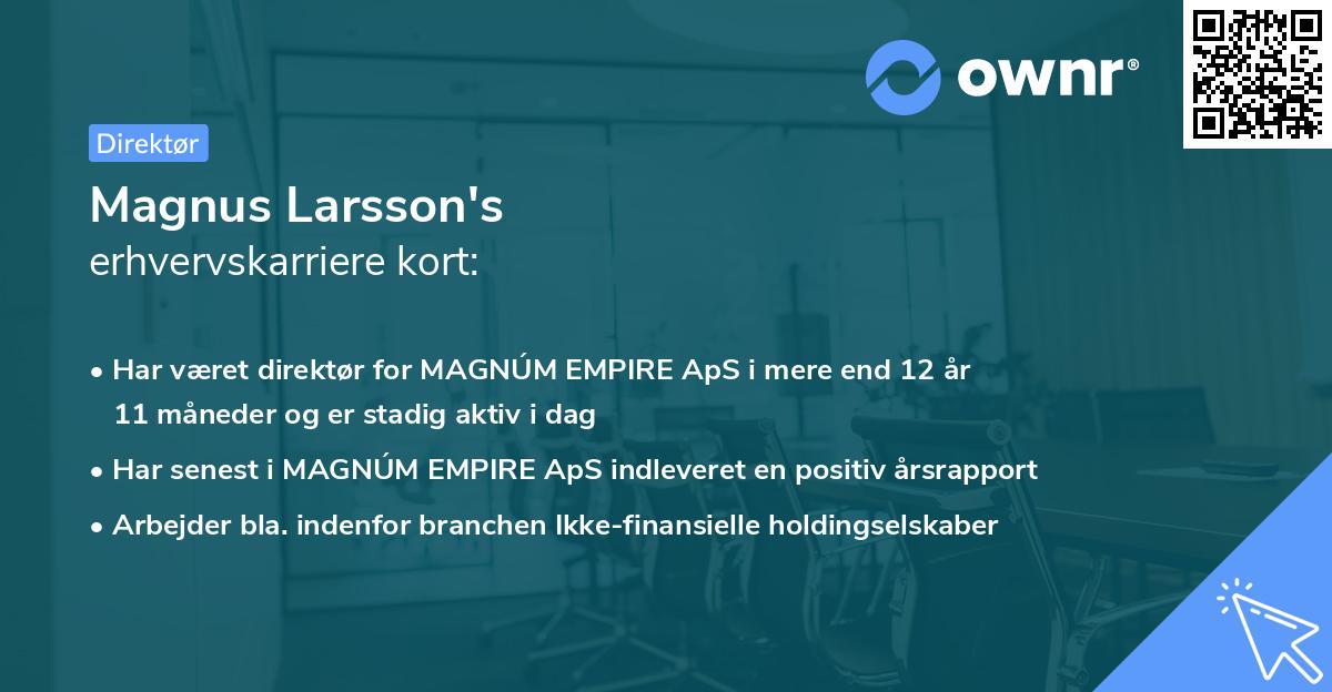 Magnus Larsson's erhvervskarriere kort
