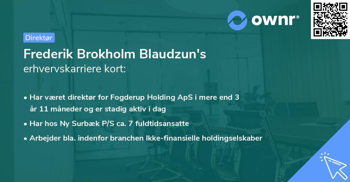 Frederik Brokholm Blaudzun's erhvervskarriere kort
