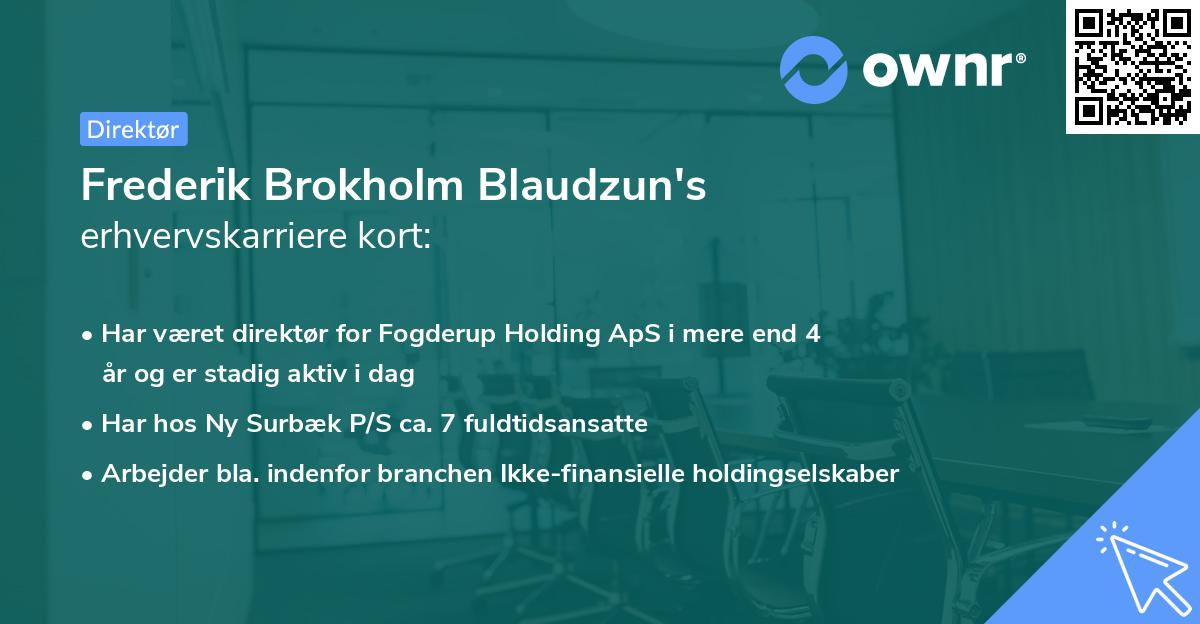 Frederik Brokholm Blaudzun's erhvervskarriere kort