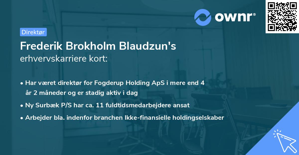 Frederik Brokholm Blaudzun's erhvervskarriere kort