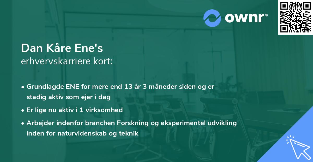 Dan Kåre Ene's erhvervskarriere kort