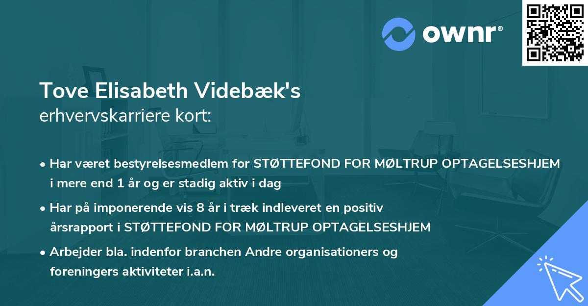 Tove Elisabeth Videbæk's erhvervskarriere kort