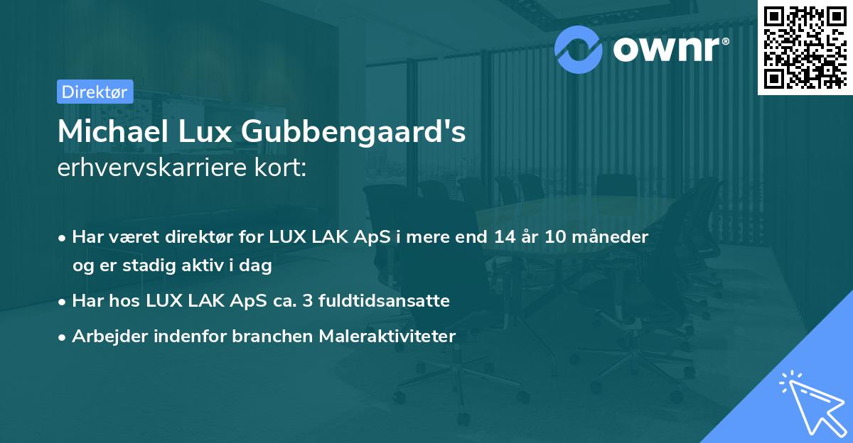 Michael Lux Gubbengaard's erhvervskarriere kort