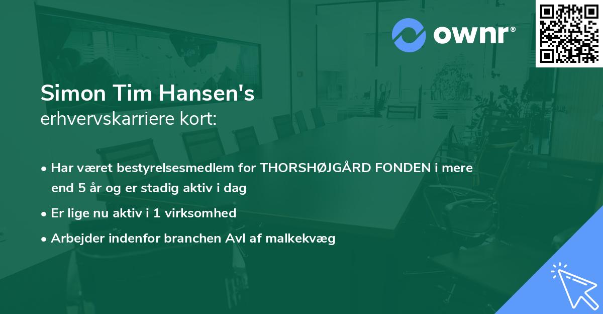 Simon Tim Hansen's erhvervskarriere kort