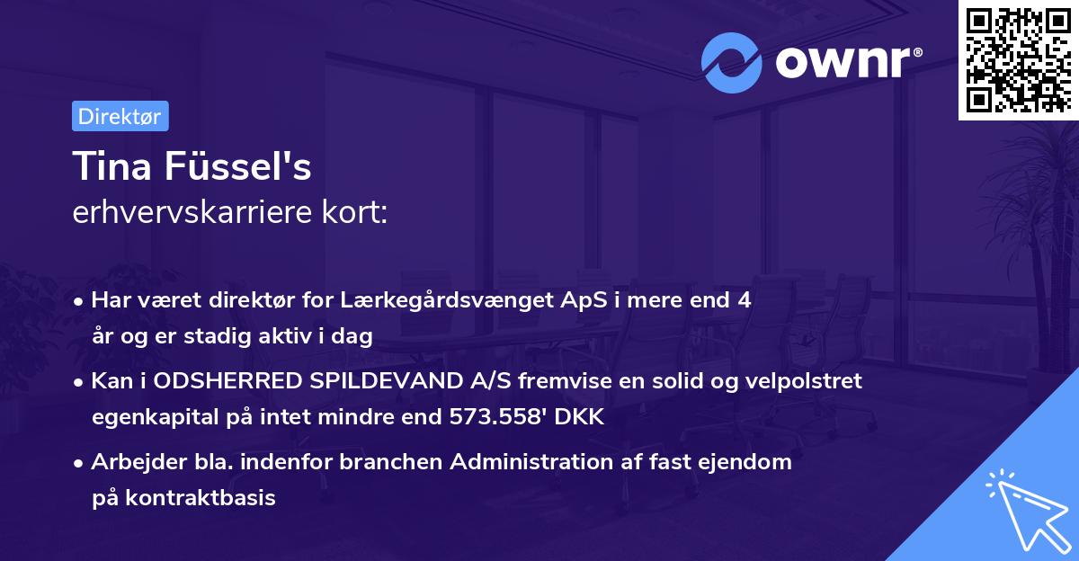 Tina Füssel's erhvervskarriere kort