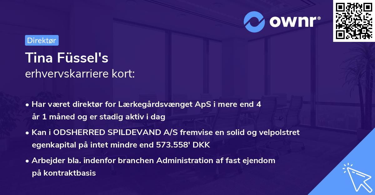 Tina Füssel's erhvervskarriere kort