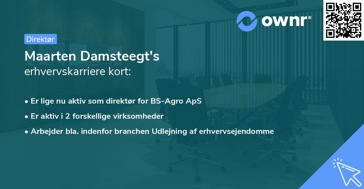 Maarten Damsteegt's erhvervskarriere kort