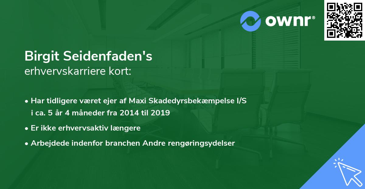 Birgit Seidenfaden's erhvervskarriere kort