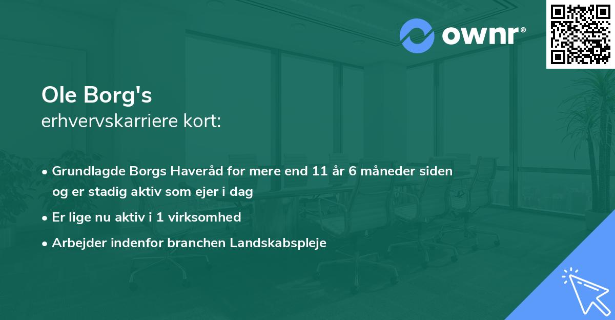 Ole Borg's erhvervskarriere kort
