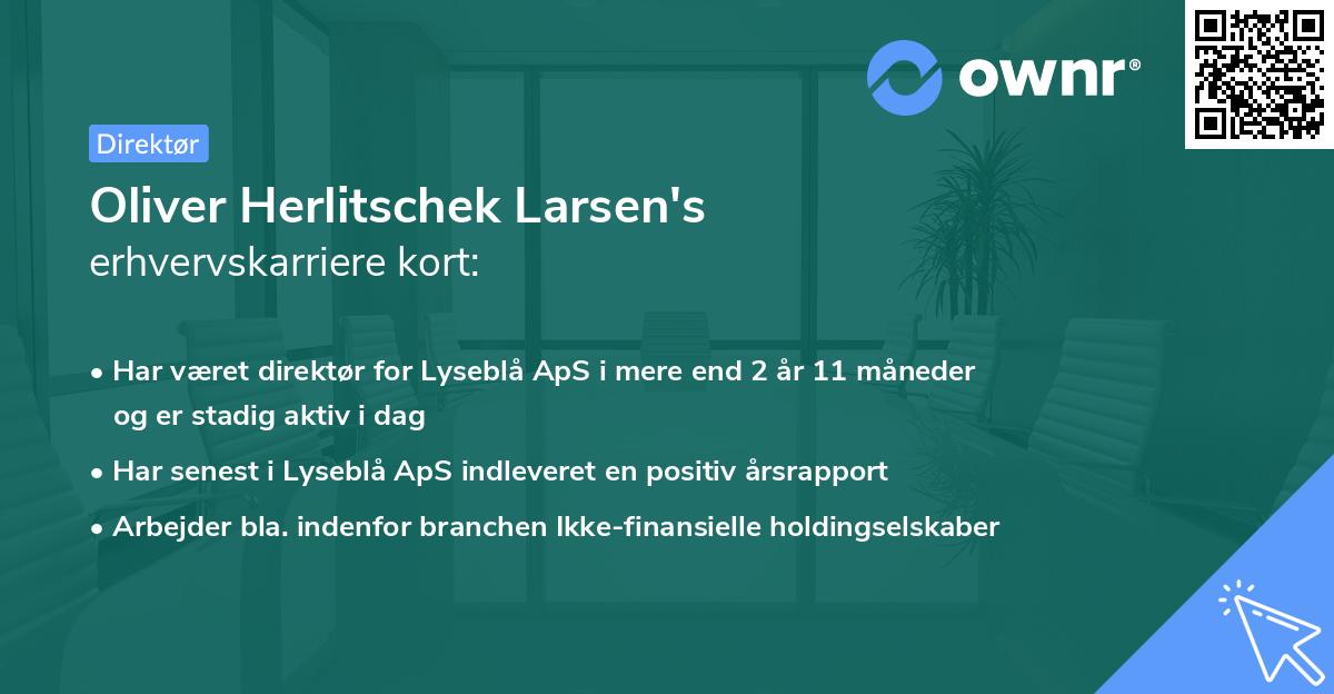 Oliver Herlitschek Larsen's erhvervskarriere kort