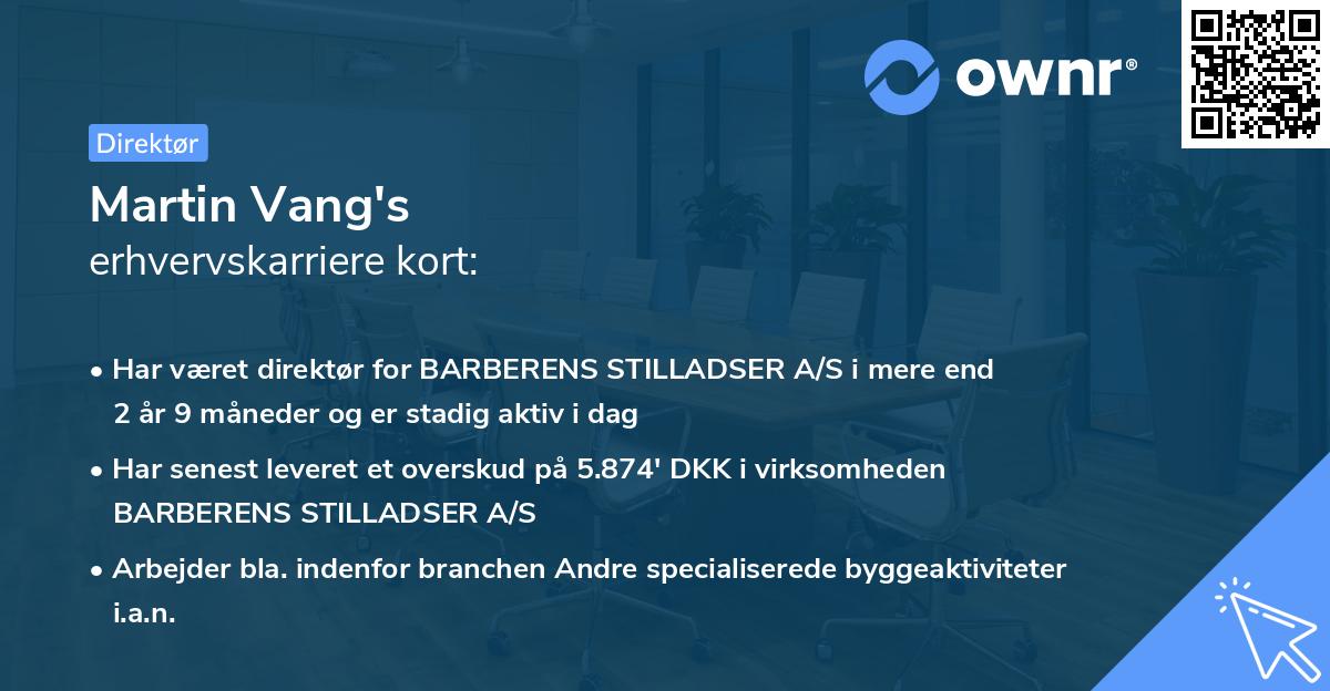 Martin Vang's erhvervskarriere kort