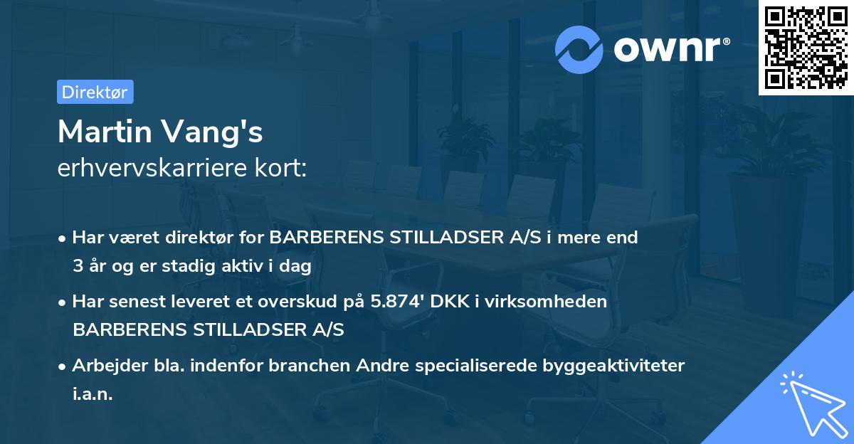Martin Vang's erhvervskarriere kort