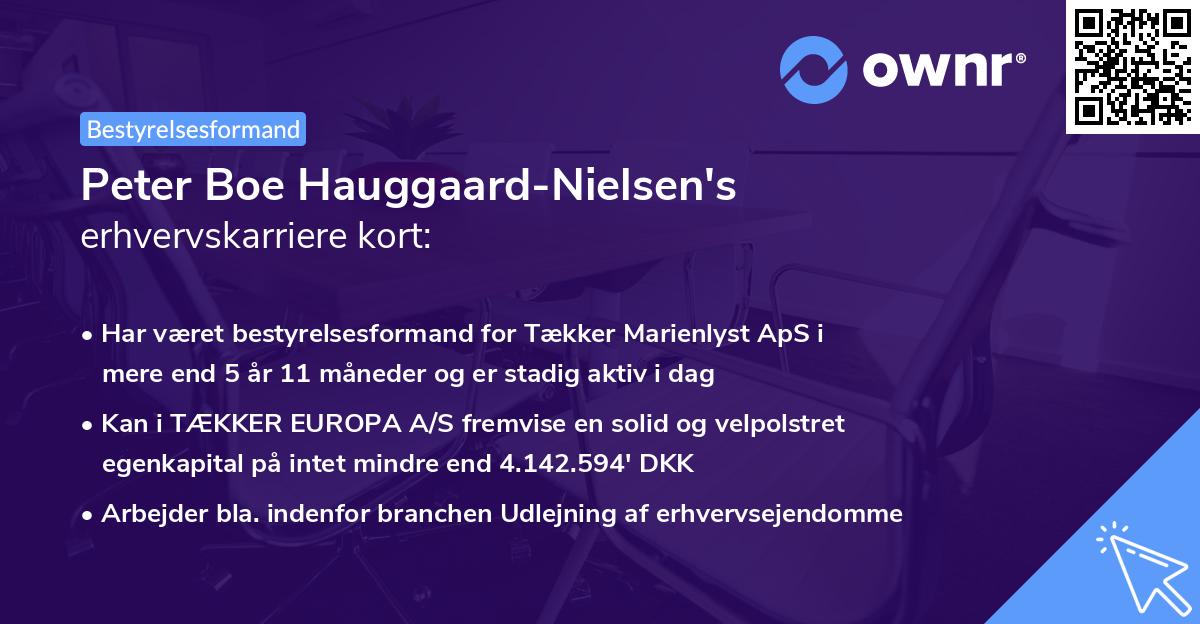 Peter Boe Hauggaard-Nielsen's erhvervskarriere kort