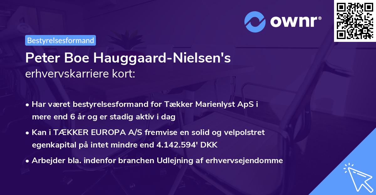 Peter Boe Hauggaard-Nielsen's erhvervskarriere kort