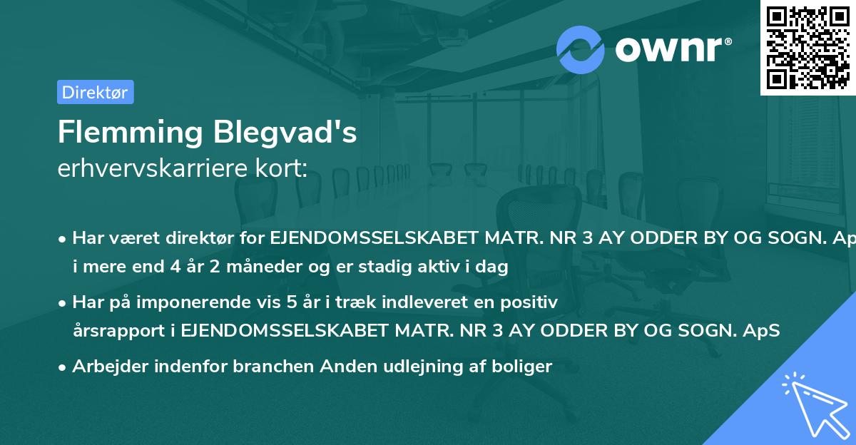 Flemming Blegvad's erhvervskarriere kort