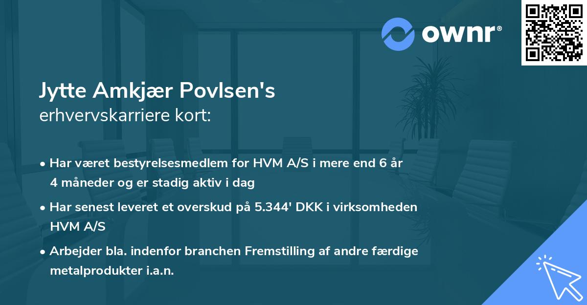 Jytte Amkjær Povlsen's erhvervskarriere kort