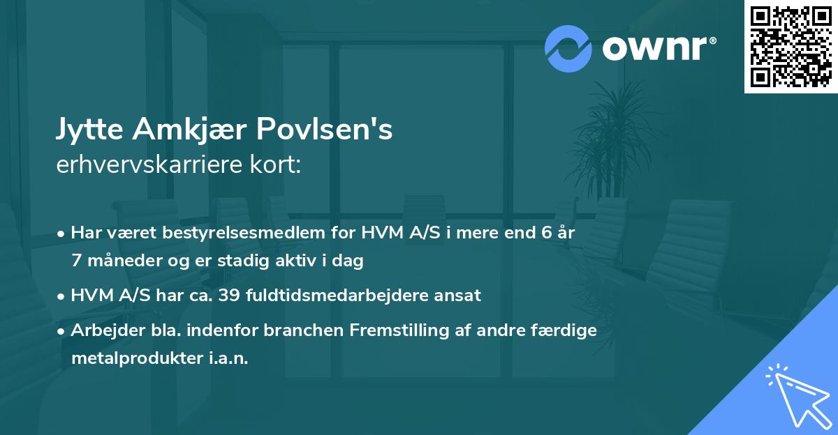 Jytte Amkjær Povlsen's erhvervskarriere kort