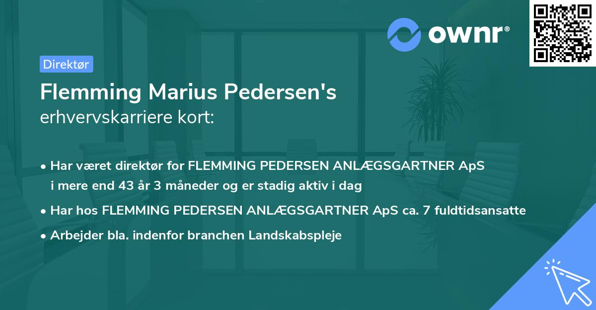 Flemming Marius Pedersen's erhvervskarriere kort