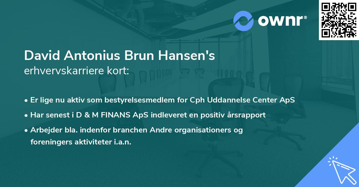 David Antonius Brun Hansen's erhvervskarriere kort