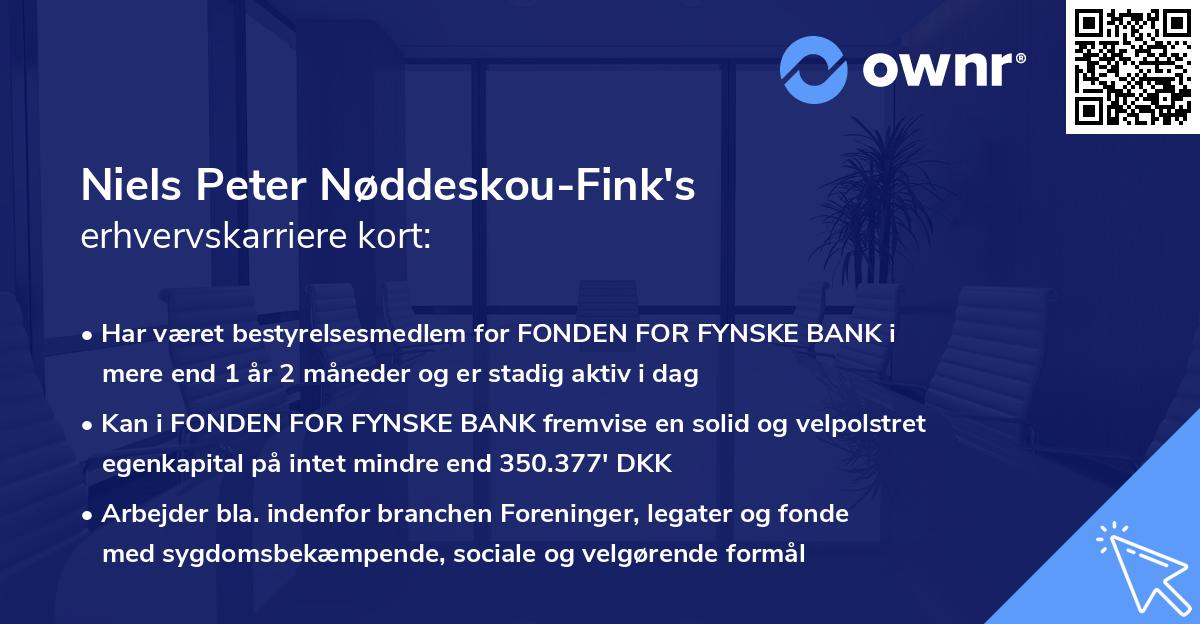 Niels Peter Nøddeskou-Fink's erhvervskarriere kort