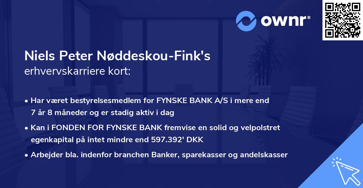 Niels Peter Nøddeskou-Fink's erhvervskarriere kort